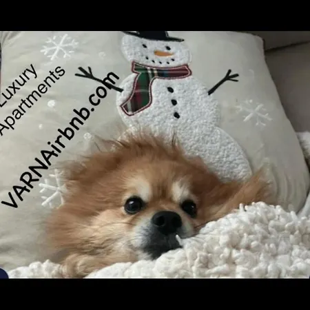 The Portal Infinity Pool And Barbecue *